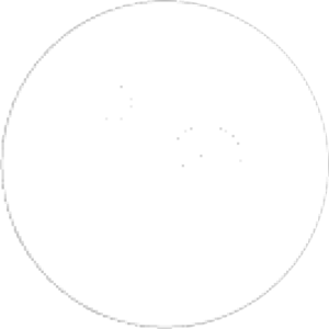 LinkedIn logo